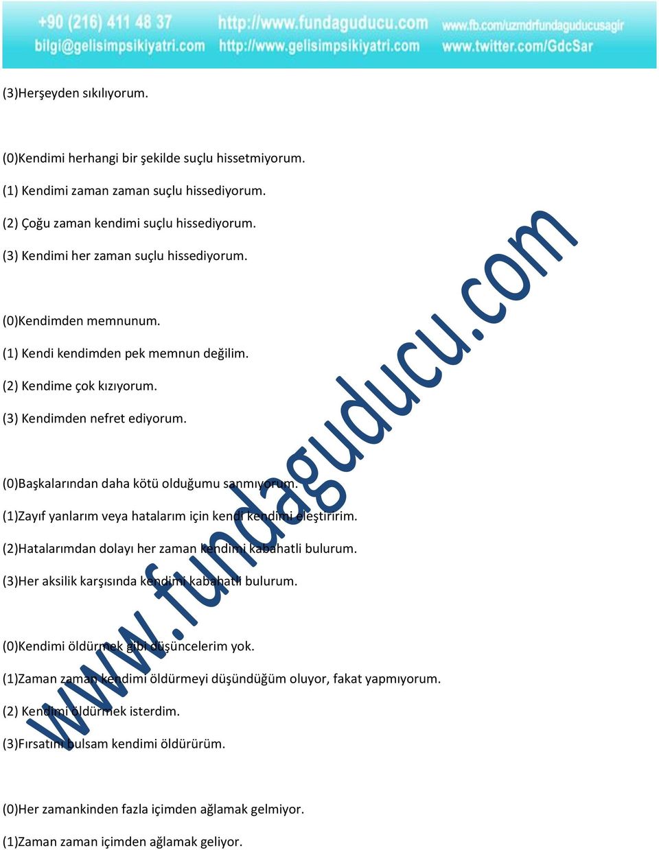 (0)Başkalarından daha kötü olduğumu sanmıyorum. (1)Zayıf yanlarım veya hatalarım için kendi kendimi eleştiririm. (2)Hatalarımdan dolayı her zaman kendimi kabahatli bulurum.