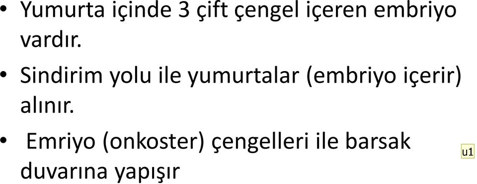 Sindirim yolu ile yumurtalar (embriyo