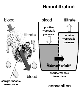 HEMOFILTRASYON HEMOFİLTRASYON, Ultrafiltrasyon sırasında fizyolojik sıvı replasmanı yapılmasıyla oluşur. Hemofiltrasyonda sıvıya ek olarak solüt yükü uzaklaştırılır.