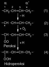 Otooksidasyon Reaksiyonları Bir çift bağa