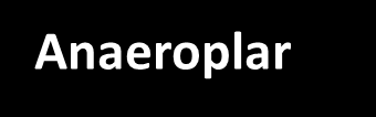 Anaeroplar