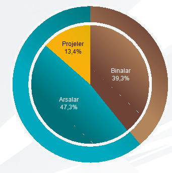 Milyon TL Toplam Arsa ve Projeler 61% Arsalar 47,3% Aralık 2012