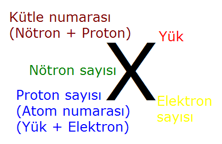 Atomun yapısında proton (+), elektron (-) ve