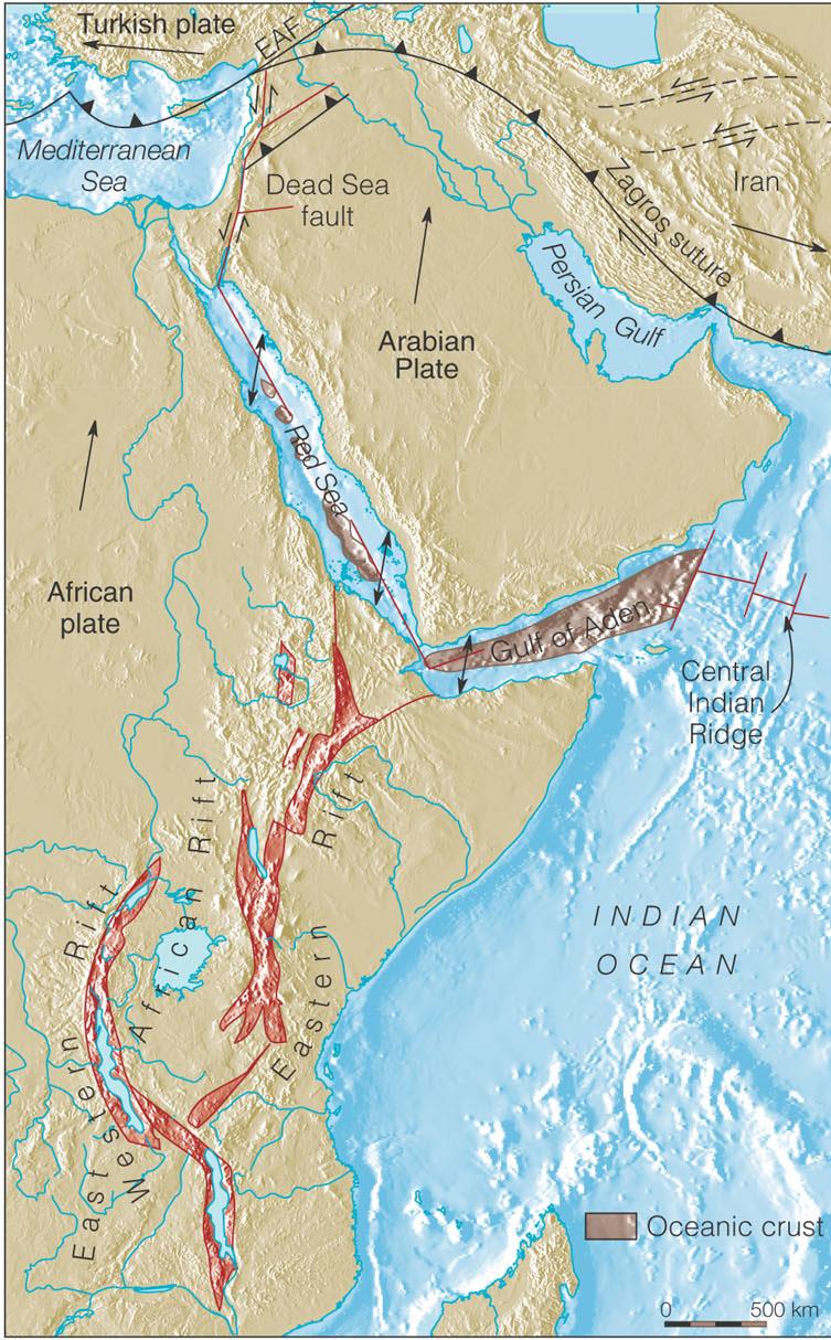 TERSİYER - Arabistan ın Afrika dan ayrılması Doğu Afrika rift sistemi Kızıl Deniz ve Aden Körfezi Senozoyik başında Arabistan ın Afrika dan ayrılması sırasında oluşmuştur.