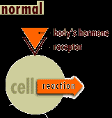 HORMONLAR TANIM: Çeşitli doku ve organlara götürülmek üzere, organizmanın bazı kısımlarından (iç salgı