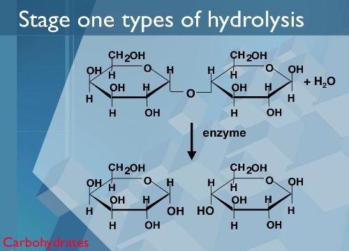Aşama 1- Hidroliz