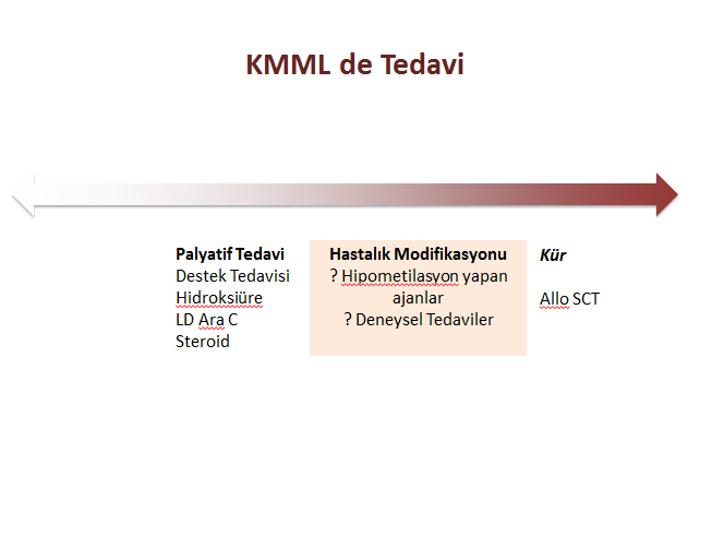 histon deasetilaz inhibitörleri