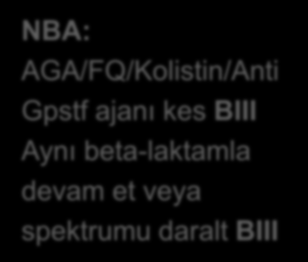 Hasta kötüleşiyor DE-ESKALASYON Hasta başlangıçta ağır ancak kötüleşmiyor Ateş yok Hasta başlangıçta stabil Halen stabil Ateş var Tanı testlerini detaylandır Kolistin/Anti-Gram ngtf ekle Risk varsa