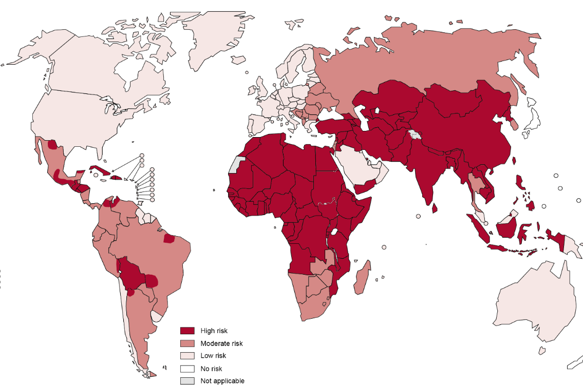 EPİDEMİYOLOJİ >%95 Asya - Afrika >15 milyon kişi/yıl profilaksi 55 bin kişi/yıl ölüm %45 i