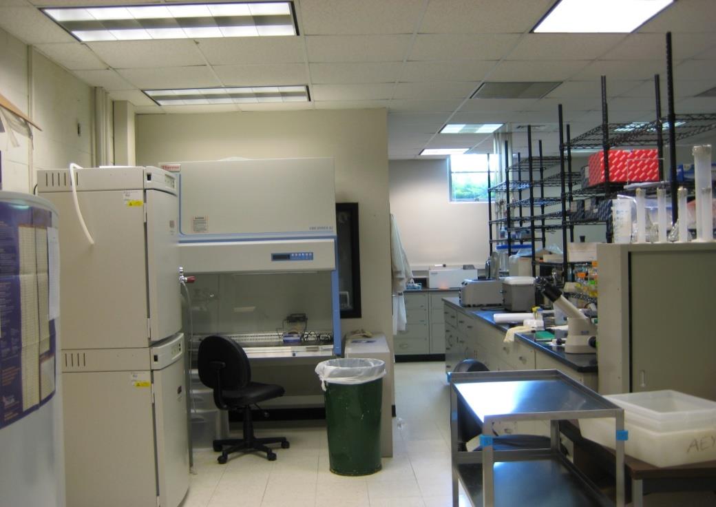 Biyoguvenlik seviye 2 (BSL-2) laboratuvarları Laboratuvar tasarımı http://fst.osu.edu/li/labphotos.