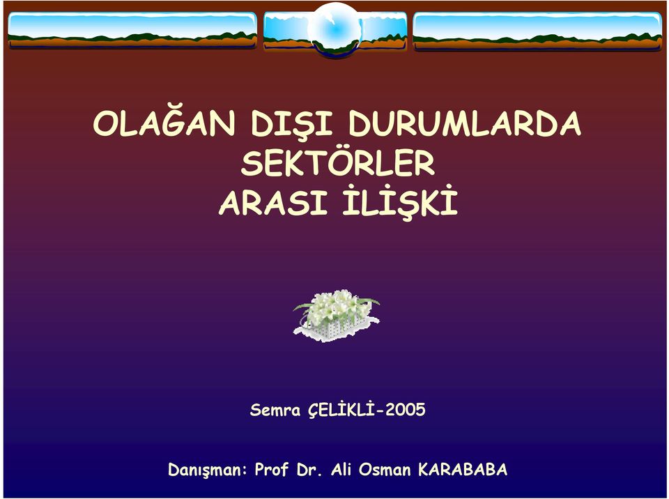 Semra ÇELİKLİ-2005