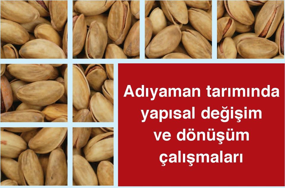 yapısal