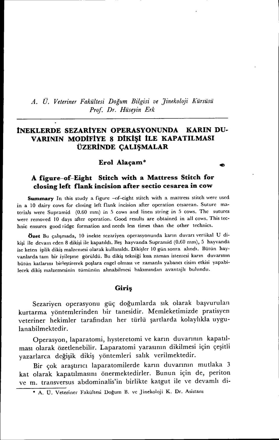 this study a figure -.{}f-eight stitch with a maltress stitch were used in a LO dairy cows for closing left flank incision after operation ccsarean. Suture materials were Supramid (0.60 mm) in.