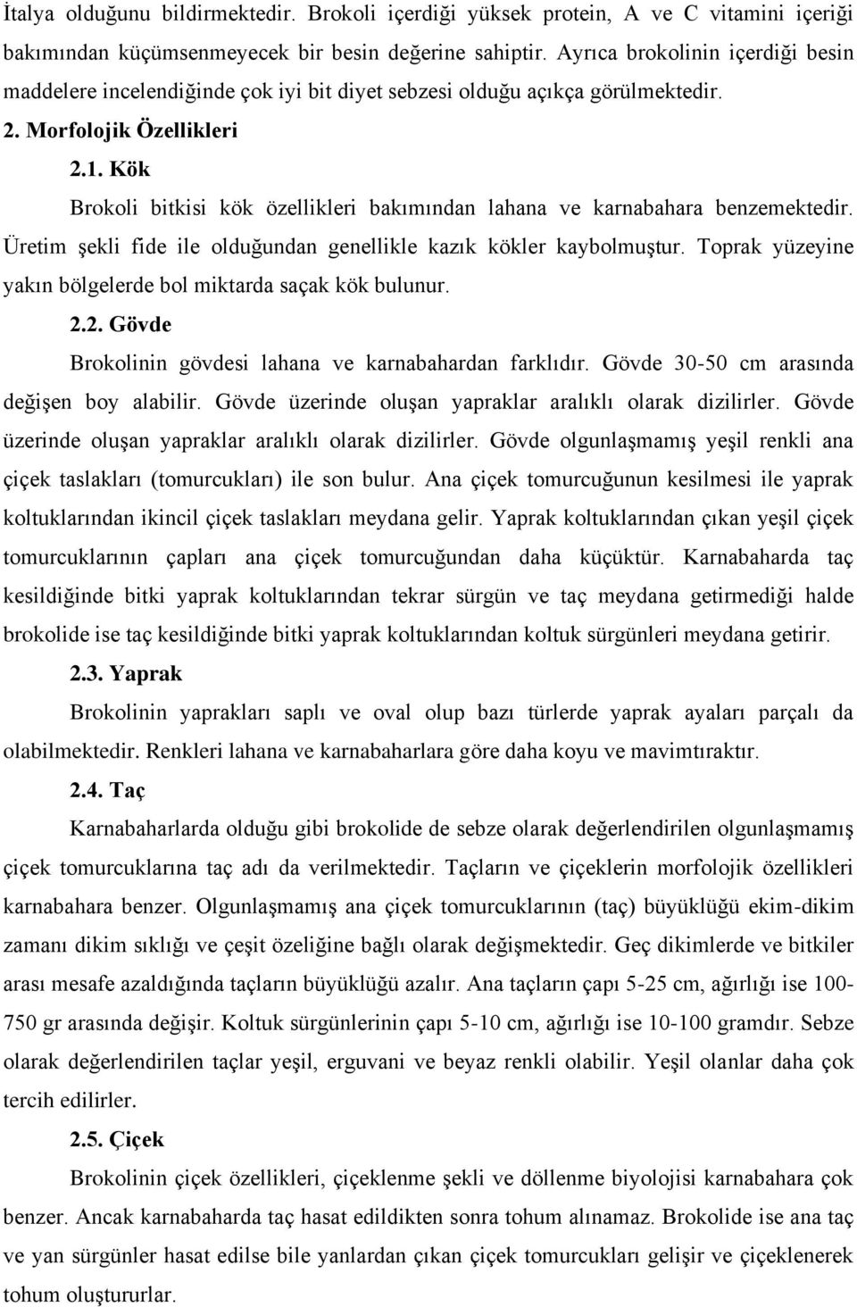 Kök Brokoli bitkisi kök özellikleri bakımından lahana ve karnabahara benzemektedir. Üretim şekli fide ile olduğundan genellikle kazık kökler kaybolmuştur.