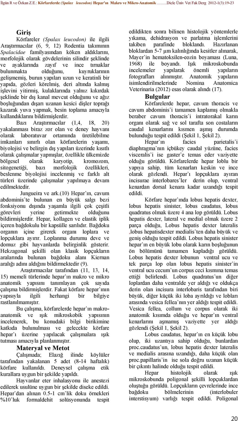 kıkırdak şeklinde bir dış kanal mevcut olduğunu ve ağız boşluğundan dışarı uzanan kesici dişler toprağı kazarak yuva yapmak, besin toplama amacıyla kullandıklarını bildirmişlerdir.