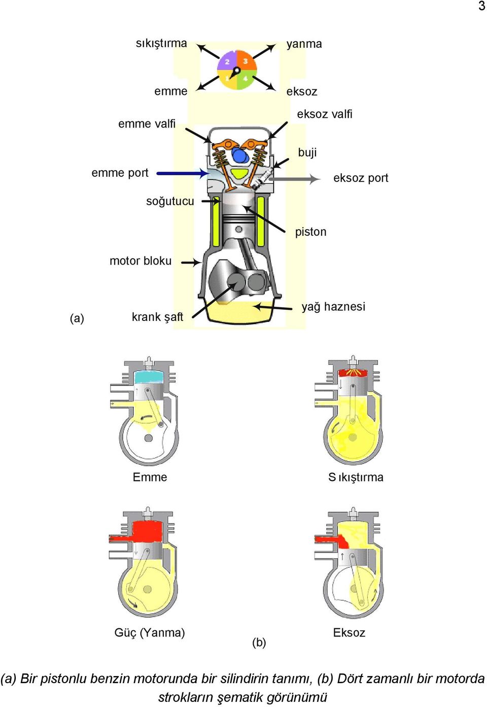 ıkıştırma Güç (Yanma) (b) Eksoz (a) Bir pistonlu benzin motorunda bir