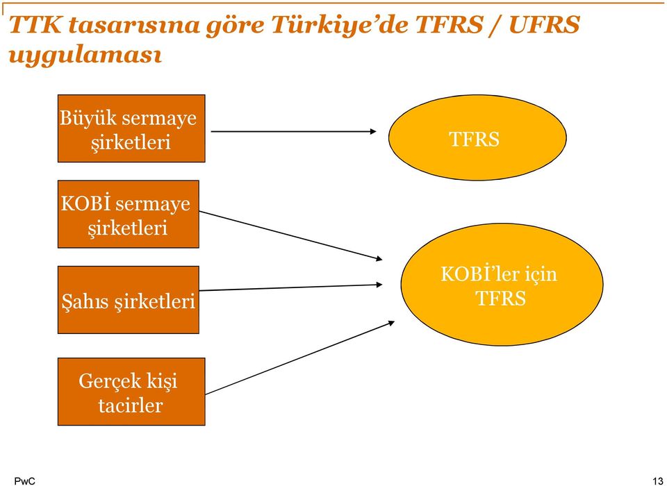 TFRS KOBİsermaye şirketleri Şahıs