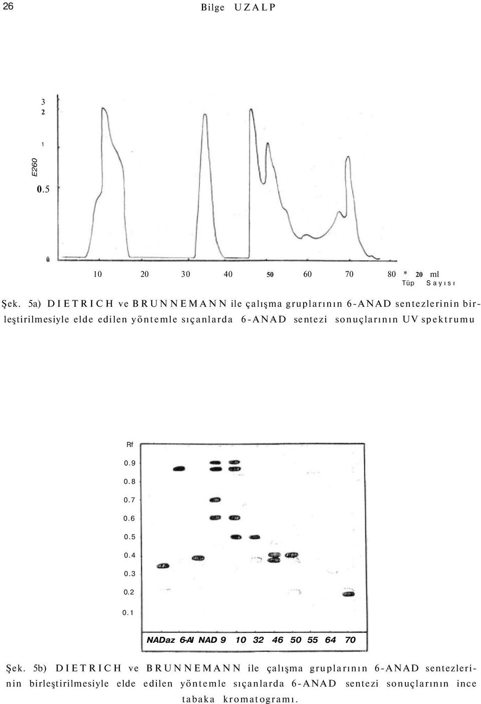 sıçanlarda 6-ANAD sentezi sonuçlarının UV spektrumu Rf 0.9 NADaz 6-AI NAD 9 10 32 46 50 55 64 70 Şek.