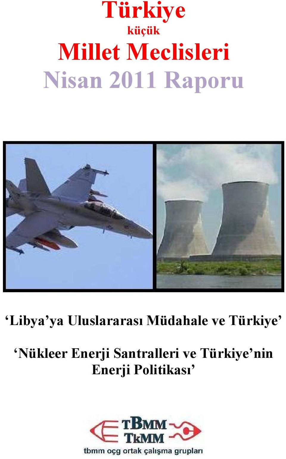 Müdahale ve Türkiye Nükleer Enerji