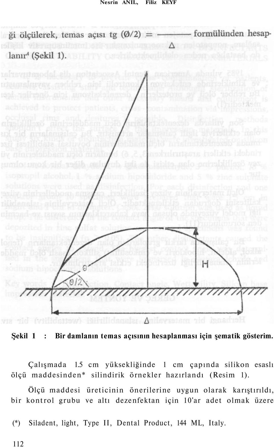 5 cm yüksekliğinde 1 cm çapında silikon esaslı ölçü maddesinden* silindirik örnekler hazırlandı (Resim