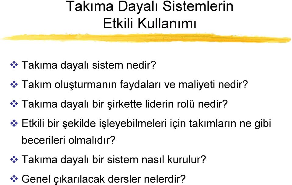 Takıma dayalı bir şirkette liderin rolü nedir?