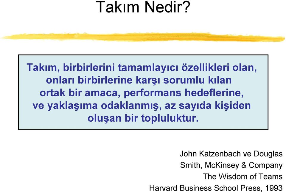 sorumlu kılan ortak bir amaca, performans hedeflerine, ve yaklaşıma odaklanmış,