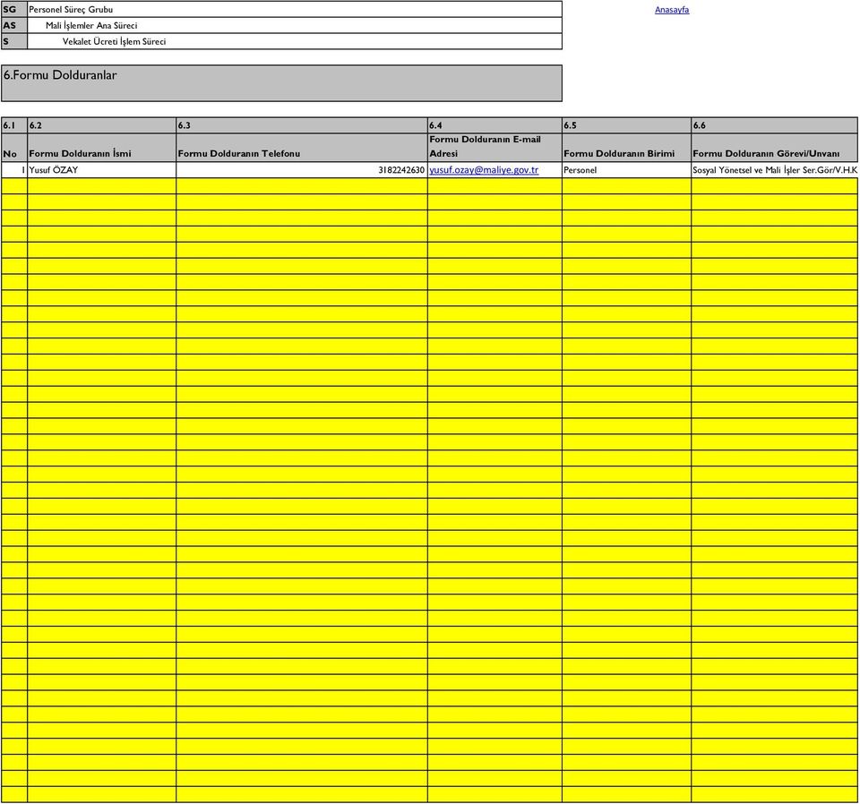 6 No Formu Dolduranın İsmi Formu Dolduranın Telefonu Formu Dolduranın E-mail Adresi Formu