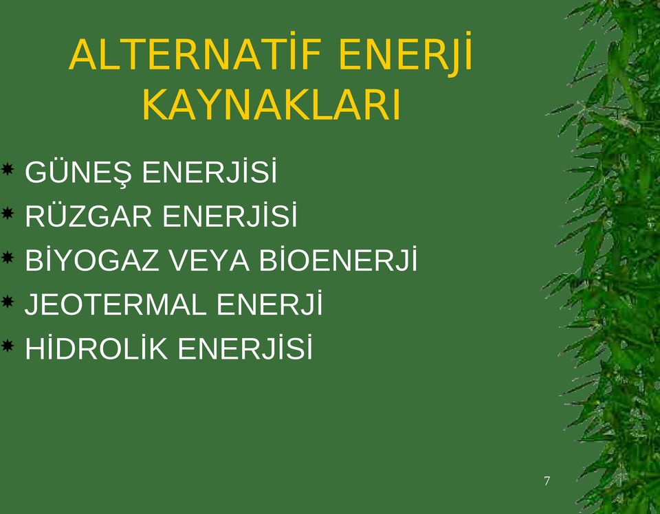 ENERJİSİ BİYOGAZ VEYA