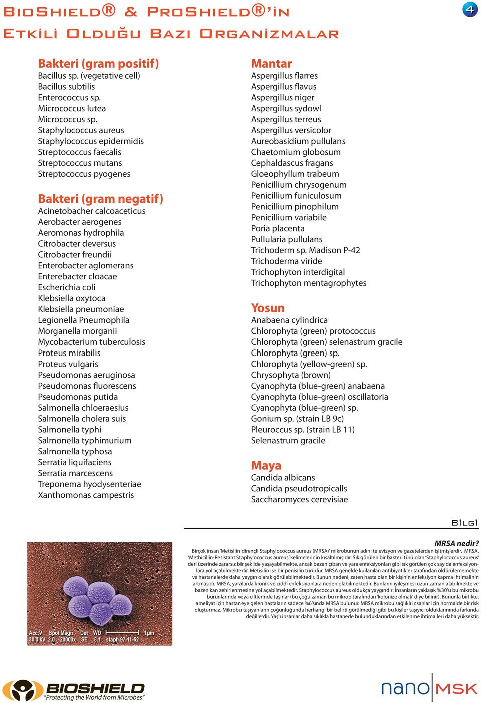 Citrobacter deversus Citrobacter freundii Enterobacter aglomerans Enterebacter cloacae Escherichia coli Klebsiella oxytoca Klebsiella pneumoniae Legionella Pneumophila Morganella morganii