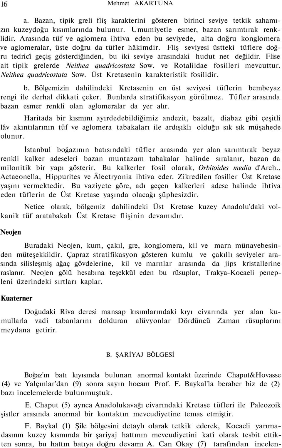 Fliş seviyesi üstteki tüflere doğru tedricî geçiş gösterdiğinden, bu iki seviye arasındaki hudut net değildir. Flise ait tipik grelerde Neithea quadricostata Sow. ve Rotaliidae fosilleri mevcuttur.