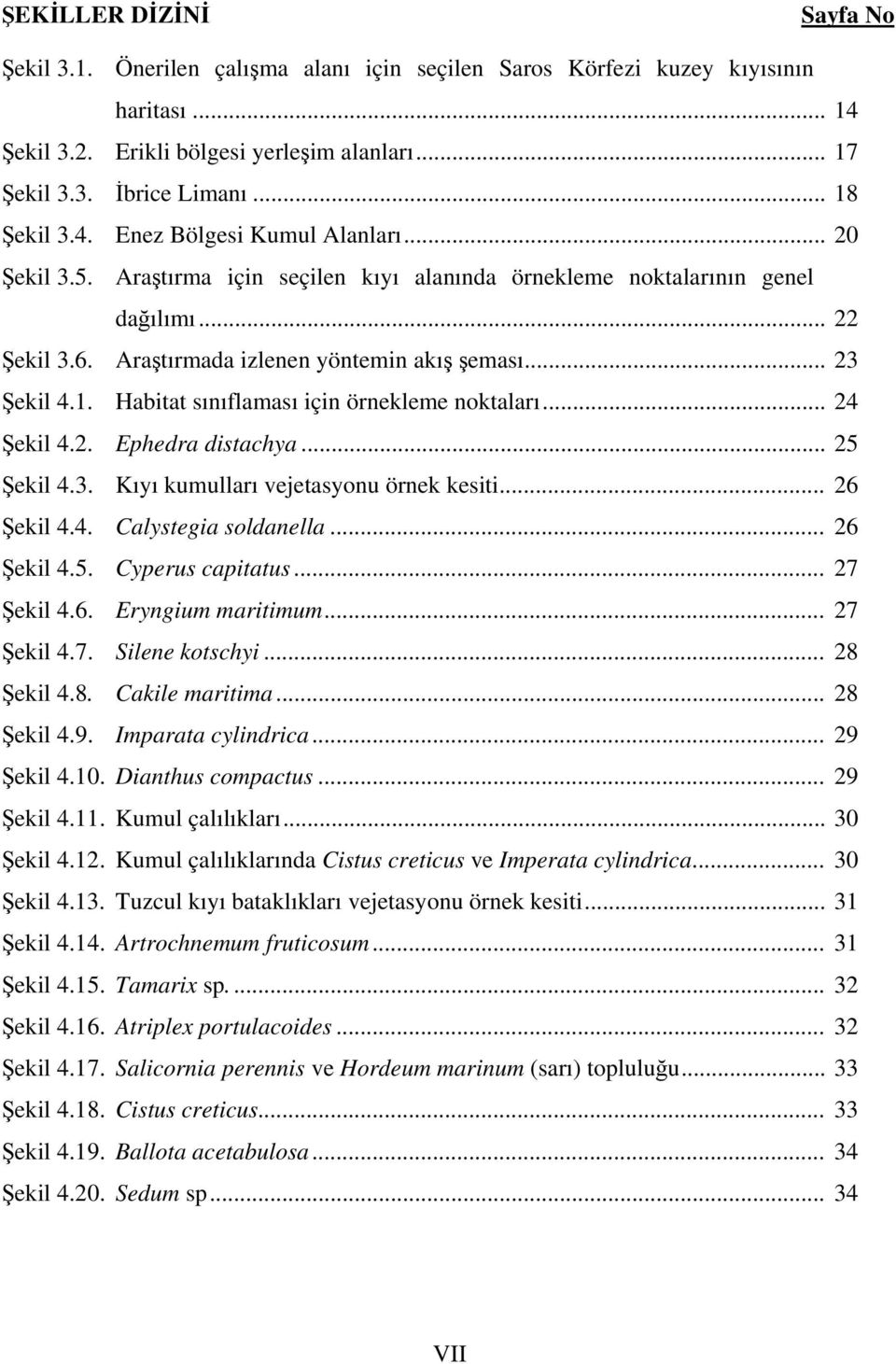 .. 23 Şekil 4.1. Habitat sınıflaması için örnekleme noktaları... 24 Şekil 4.2. Ephedra distachya... 25 Şekil 4.3. Kıyı kumulları vejetasyonu örnek kesiti... 26 Şekil 4.4. Calystegia soldanella.