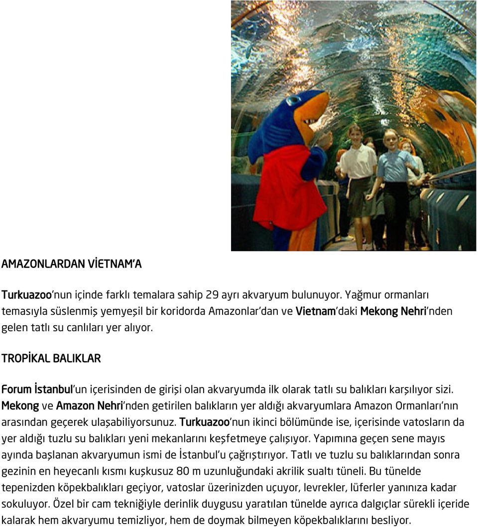 TROPİKAL BALIKLAR Forum İstanbul'un içerisinden de girişi olan akvaryumda ilk olarak tatlı su balıkları karşılıyor sizi.