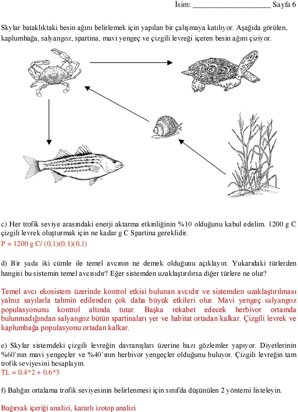 1200 g C çizgili levrek oluşturmak için ne kadar g C Spartina gereklidir. P = 1200 g C/ (0.1)(0.1)(0.1) d) Bir ya da iki cümle ile temel avcının ne demek olduğunu açıklayın.