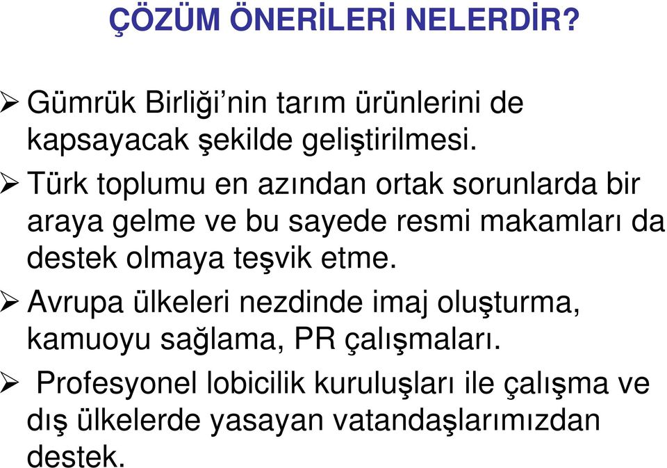 Türk toplumu en azından ortak sorunlarda bir araya gelme ve bu sayede resmi makamları da destek