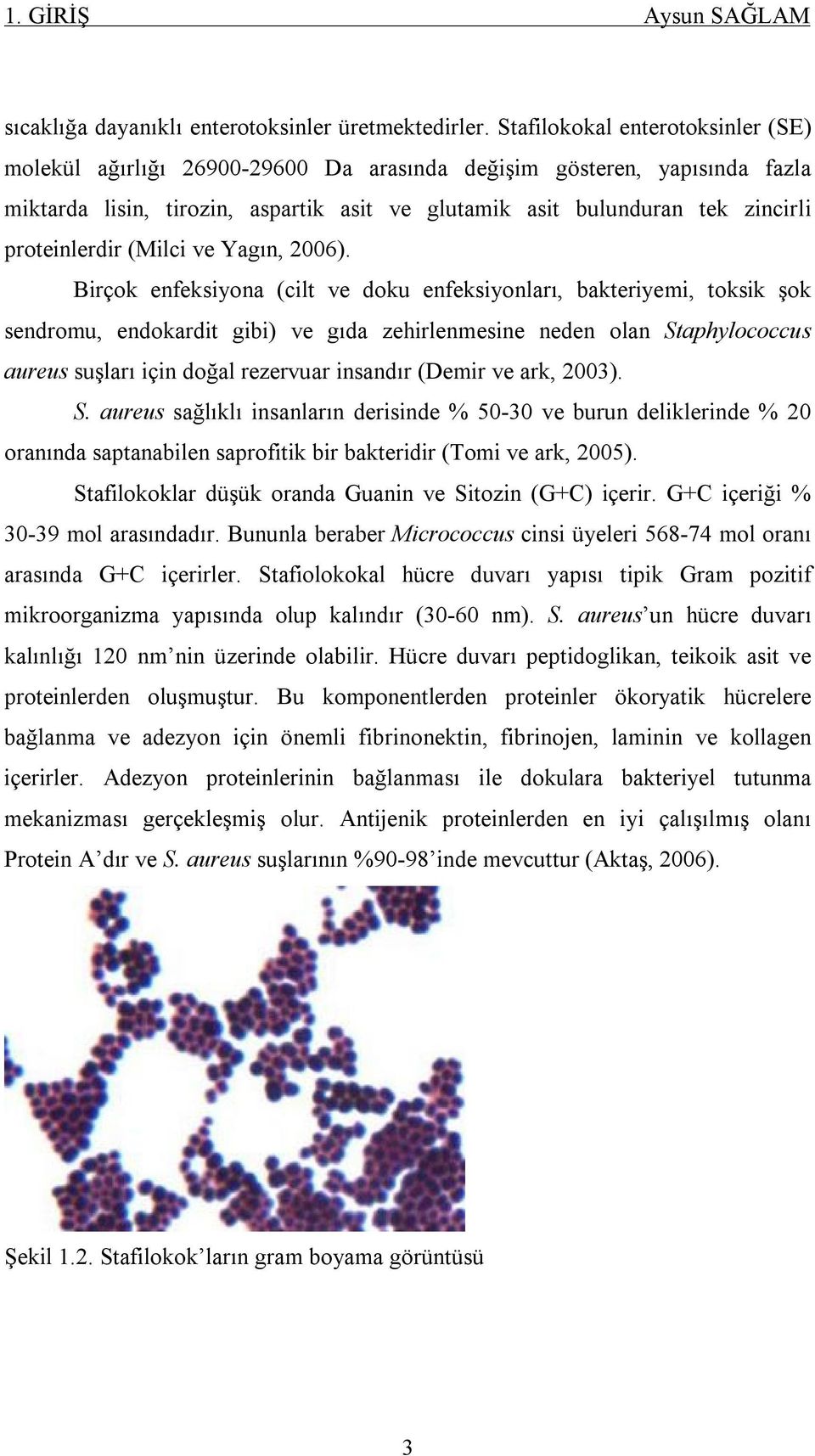 proteinlerdir (Milci ve Yagın, 2006).