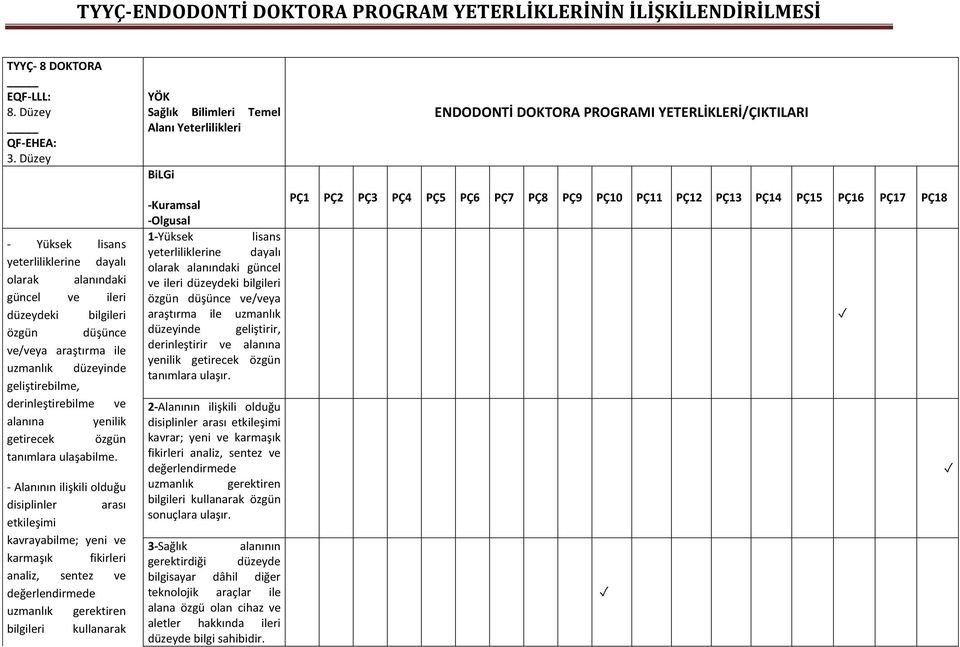 yenilik getirecek özgün tanımlara ulaşabilme.