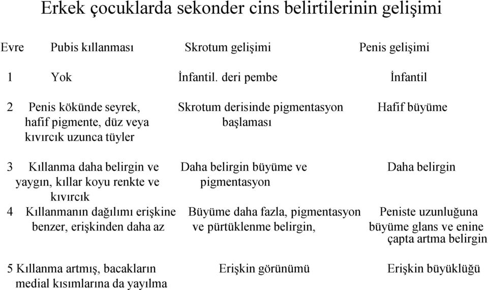 belirgin ve Daha belirgin büyüme ve Daha belirgin yaygın, kıllar koyu renkte ve pigmentasyon kıvırcık 4 Kıllanmanın dağılımı erişkine Büyüme daha fazla, pigmentasyon