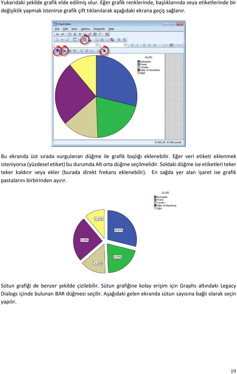 Bu ekranda üst sırada vurgulanan düğme ile grafik başlığı eklenebilir. Eğer veri etiketi eklenmek isteniyorsa (yüzdesel etiket) bu durumda Alt orta düğme seçilmelidir.