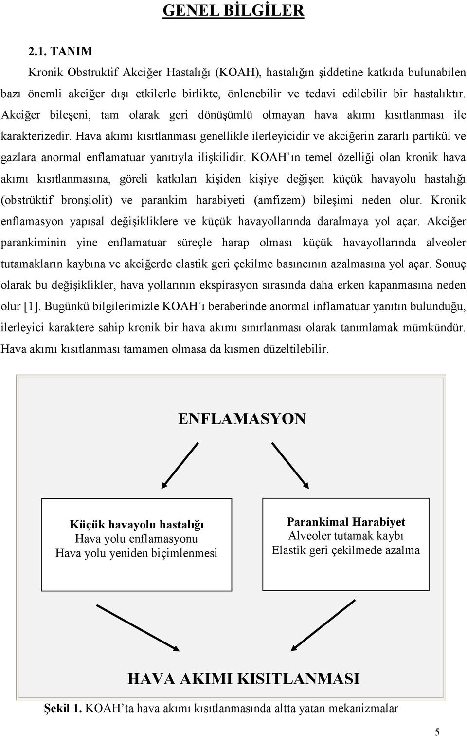 Akciğer bileşeni, tam olarak geri dönüşümlü olmayan hava akımı kısıtlanması ile karakterizedir.