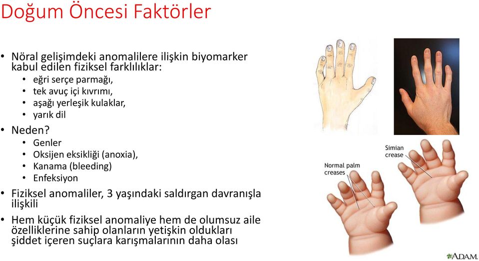 Genler Oksijen eksikliği (anoxia), Kanama (bleeding) Enfeksiyon Fiziksel anomaliler, 3 yaşındaki saldırgan