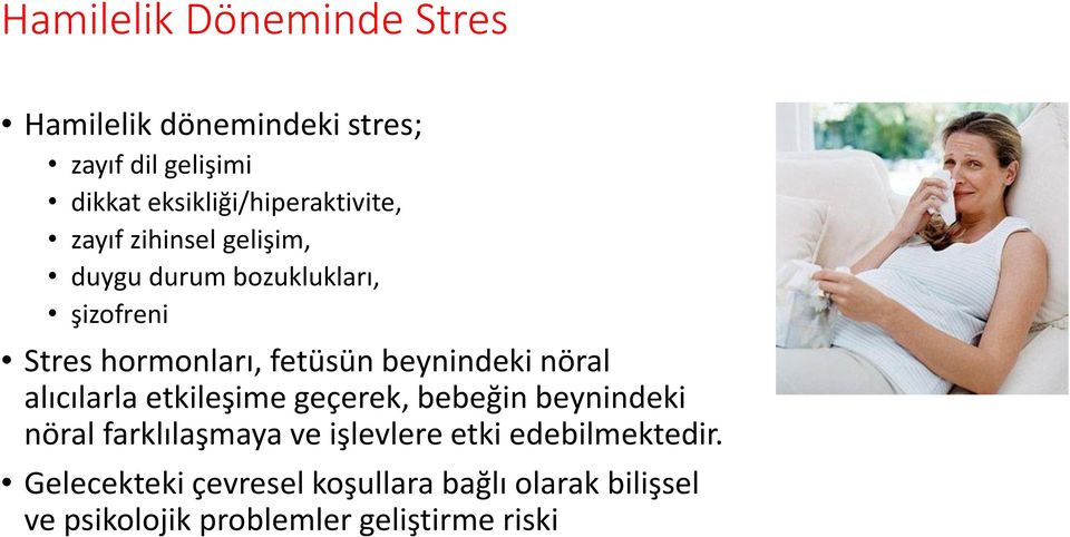 hormonları, fetüsün beynindeki nöral alıcılarla etkileşime geçerek, bebeğin beynindeki nöral