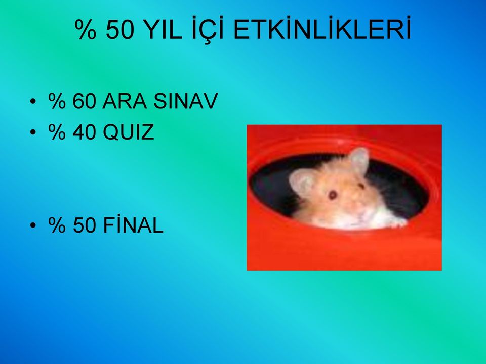 60 ARA SINAV %