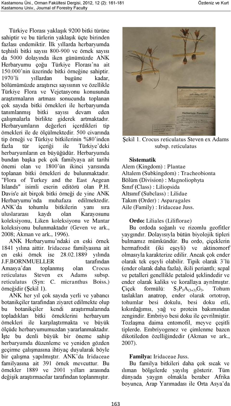 1970 li yıllardan bugüne kadar, bölümümüzde araştırıcı sayısının ve özellikle Türkiye Flora ve Vejetasyonu konusunda araştırmaların artması sonucunda toplanan çok sayıda bitki örnekleri ile