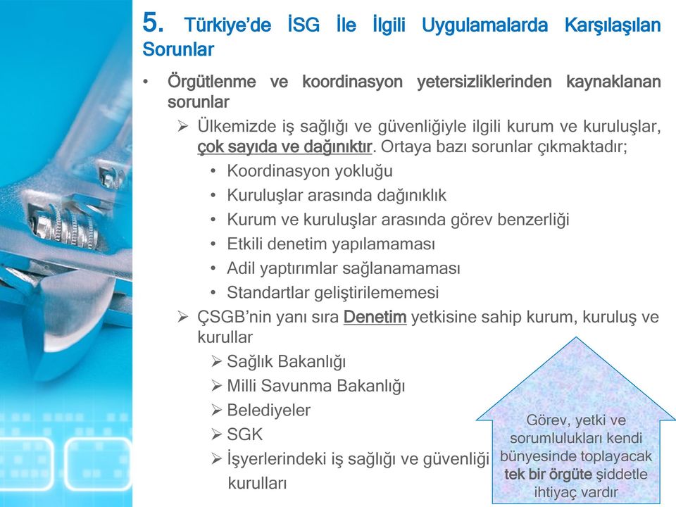 Ortaya bazı sorunlar çıkmaktadır; Koordinasyon yokluğu Kuruluşlar arasında dağınıklık Kurum ve kuruluşlar arasında görev benzerliği Etkili denetim yapılamaması Adil yaptırımlar