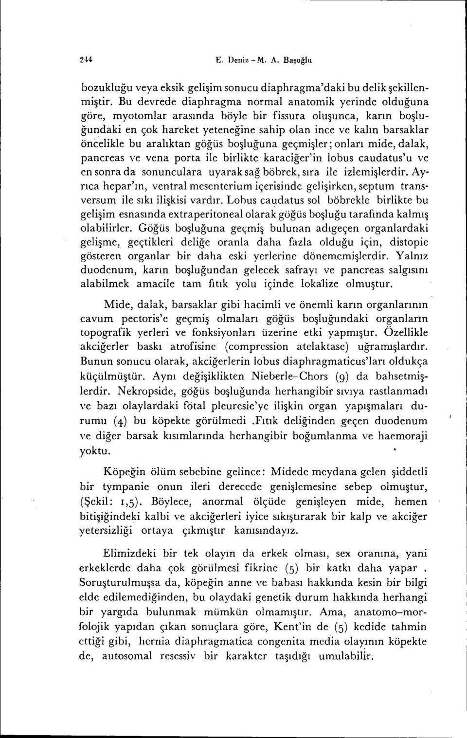 bu aralıktan göğüs boşluğuna geçmişler; onları mide, dalak, pancreas ve vena porta ile birlikte karaciğer'in lobus caudatus'u ve en sonra da sonunculara uyarak sağ böbrek, sıra ilc izlemişlerdir. Ay.