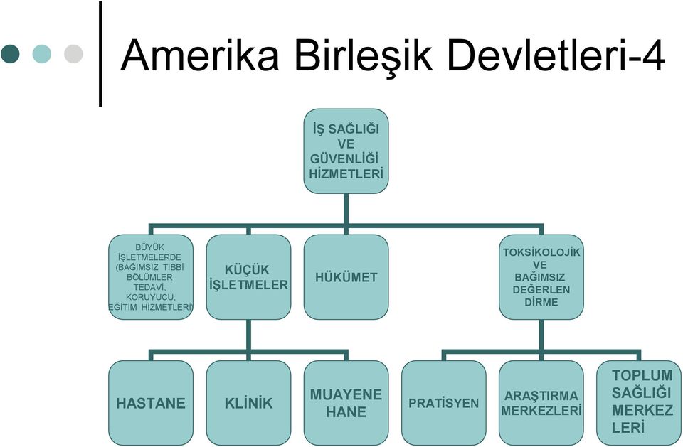 HİZMETLERİ) KÜÇÜK İŞLETMELER HÜKÜMET TOKSİKOLOJİK VE BAĞIMSIZ DEĞERLEN