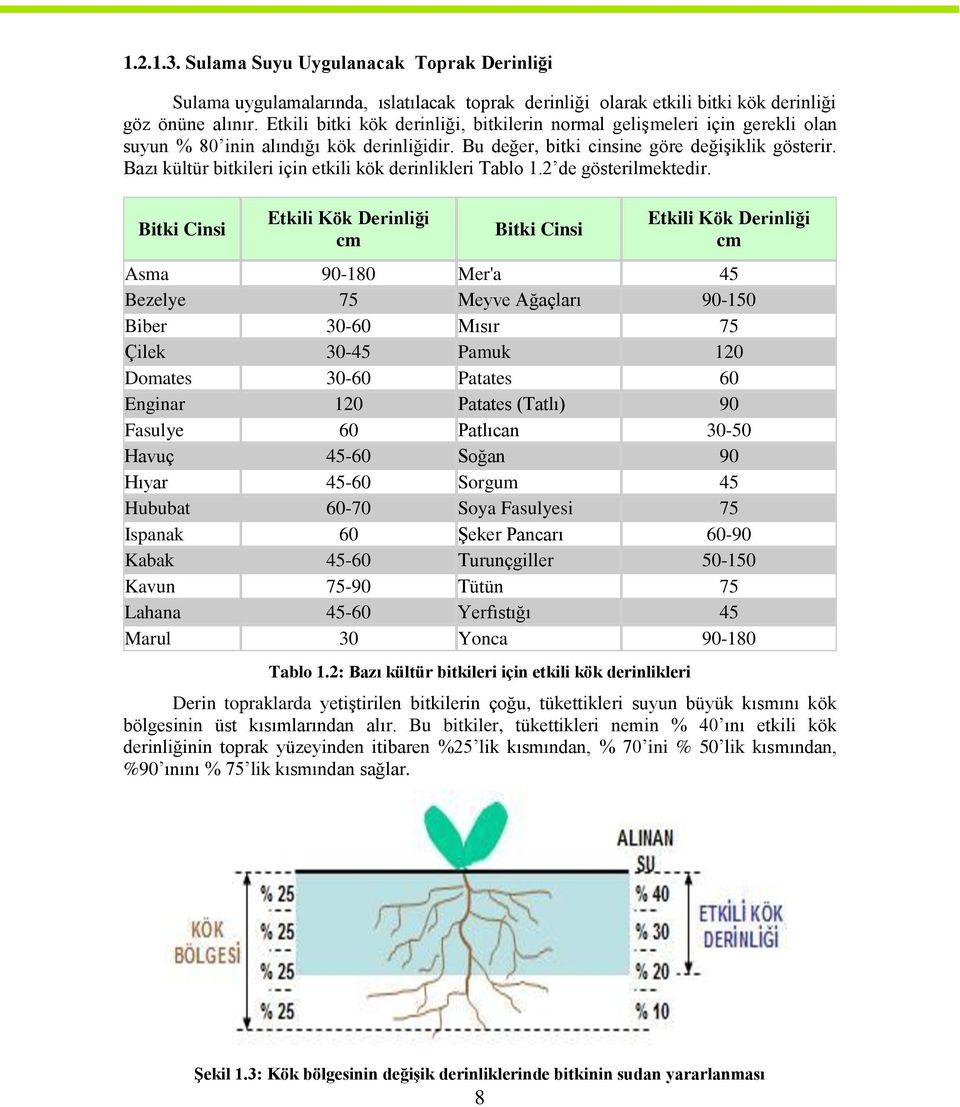 Bazı kültür bitkileri için etkili kök derinlikleri Tablo 1.2 de gösterilmektedir.