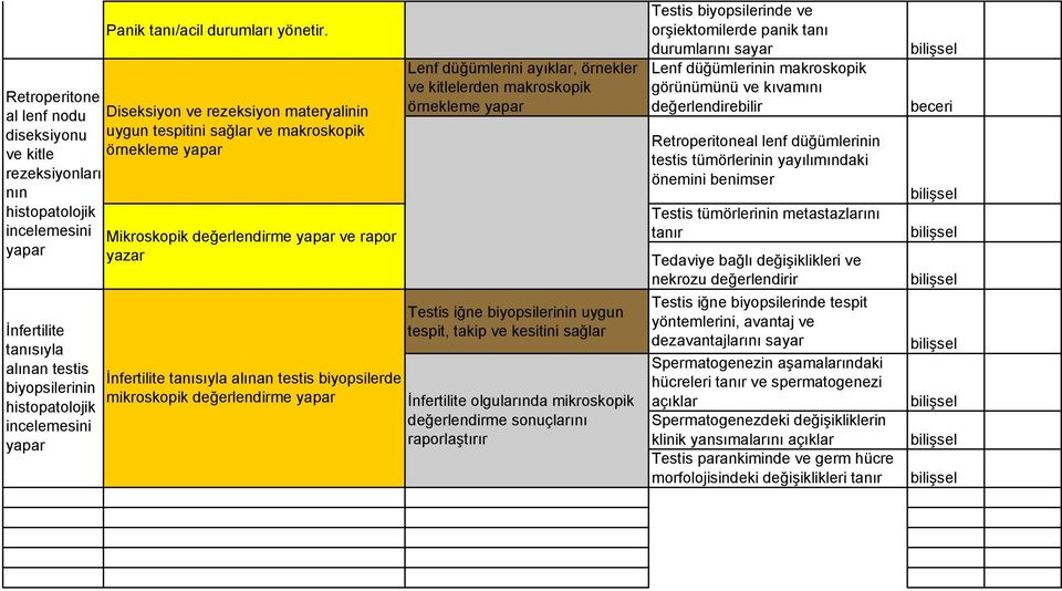 makroskopik örnekleme Testis iğne biyopsilerinin uygun tespit, takip ve kesitini sağlar İnfertilite olgularında mikroskopik değerlendirme sonuçlarını raporlaştırır Testis biyopsilerinde ve