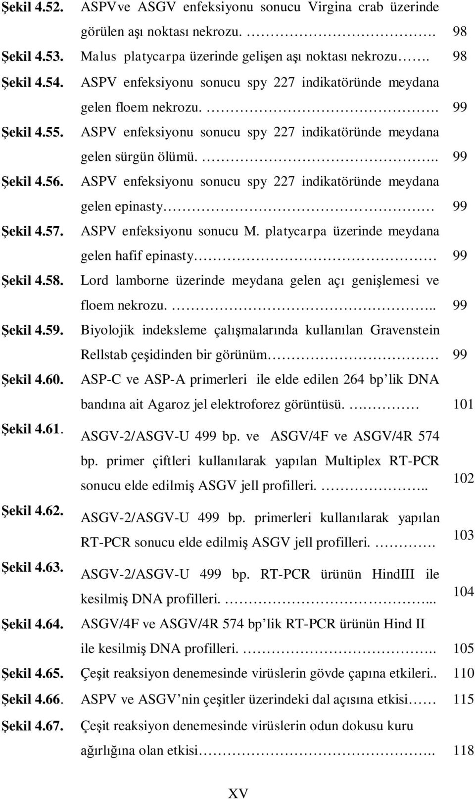 ASPV enfeksiyonu sonucu spy 227 indikatöründe meydana gelen epinasty 99 Şekil 4.57. ASPV enfeksiyonu sonucu M. platycarpa üzerinde meydana gelen hafif epinasty 99 Şekil 4.58.
