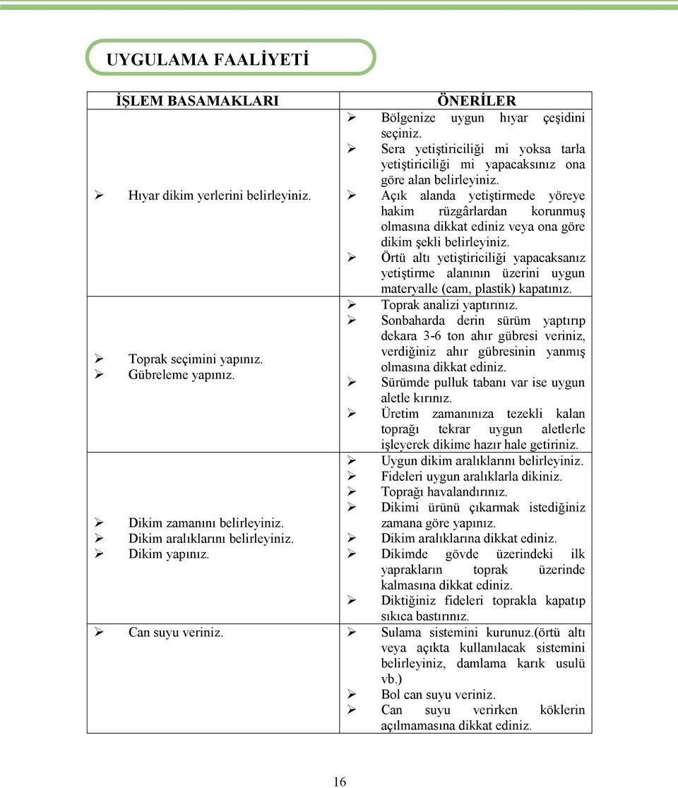 Açık alanda yetiştirmede yöreye hakim rüzgârlardan korunmuş olmasına dikkat ediniz veya ona göre dikim şekli belirleyiniz.